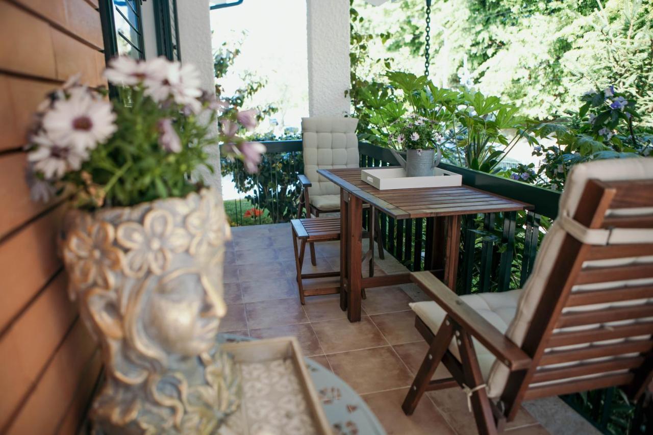 Flowers & Faces Guesthouse Ponte de Lima Εξωτερικό φωτογραφία